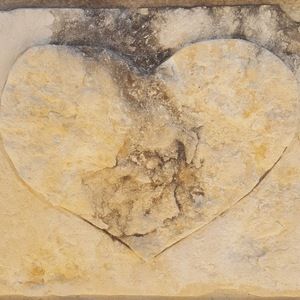 Meet your Posher, Penny